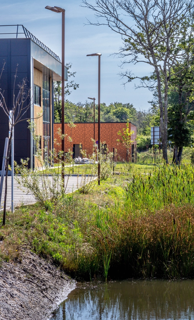 706A6371 596x982 min