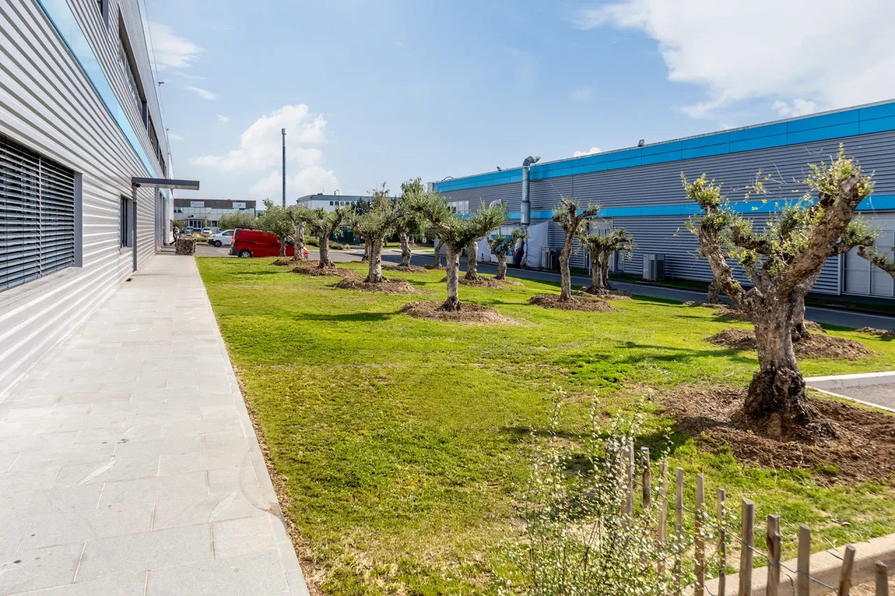 Aménagements paysagers et espaces verts du site industriel LISI Aerospace à Saint-Ouen-l’Aumône
